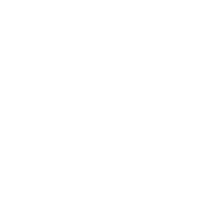 Logo Flutter