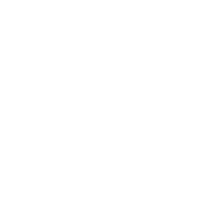Logo Pinto et Fils